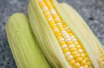 yellow-and-green corns