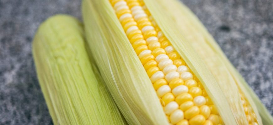 yellow-and-green corns